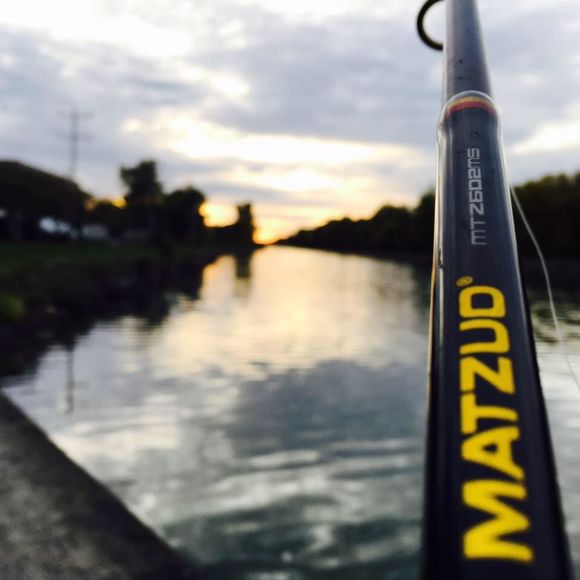 Meet your Posher, Jackson - Picture 1 of 1